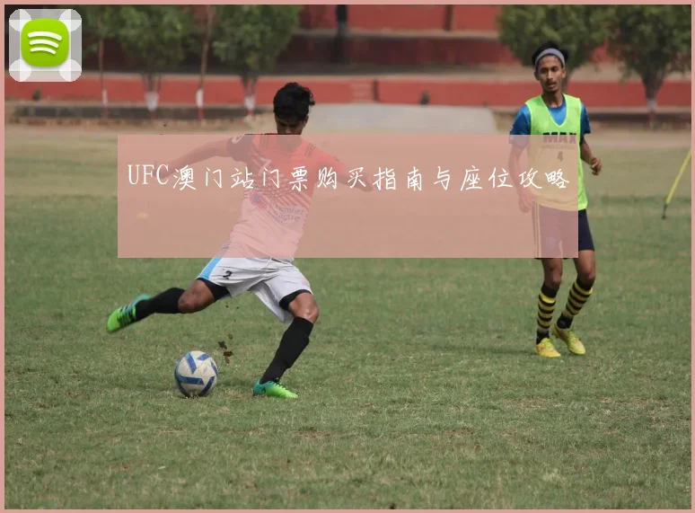 UFC澳门站门票购买指南与座位攻略