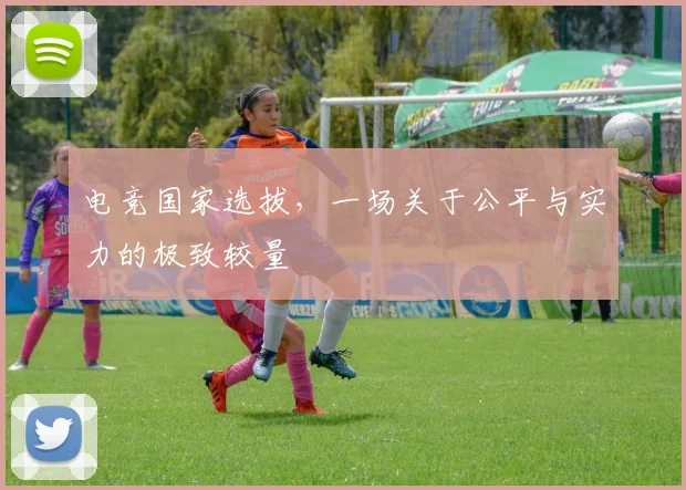 电竞国家选拔，一场关于公平与实力的极致较量