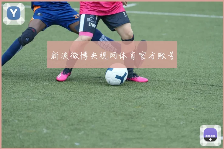 新浪微博央视网体育官方账号