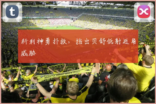 科利神勇扑救，挡出贝舒低射近角威胁