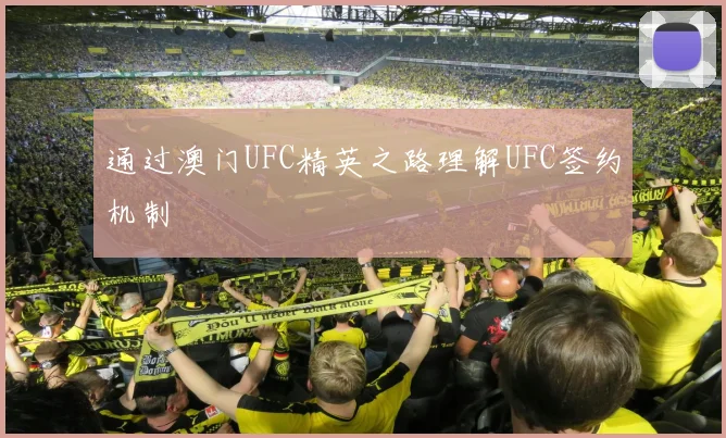 通过澳门UFC精英之路理解UFC签约机制