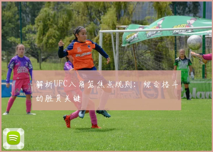解析UFC八角笼焦点规则：综合格斗的胜负关键