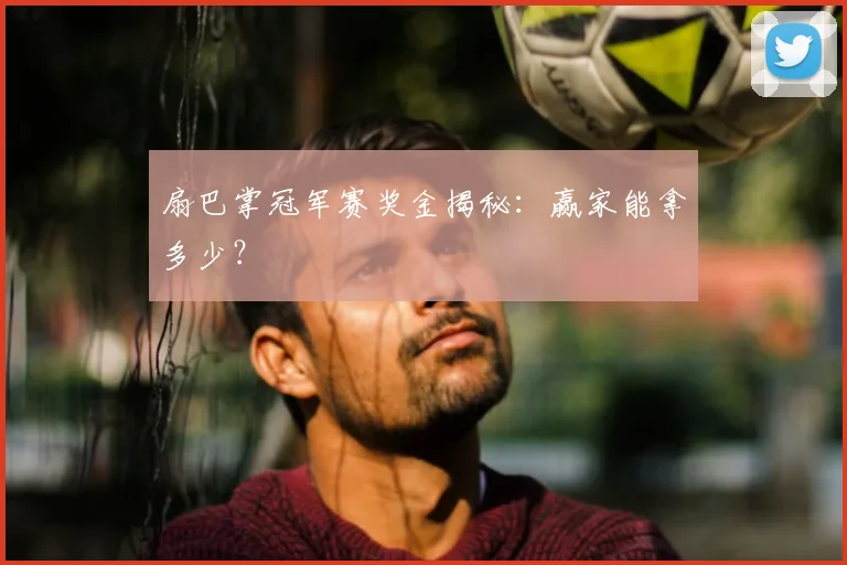 扇巴掌冠军赛奖金揭秘：赢家能拿多少？